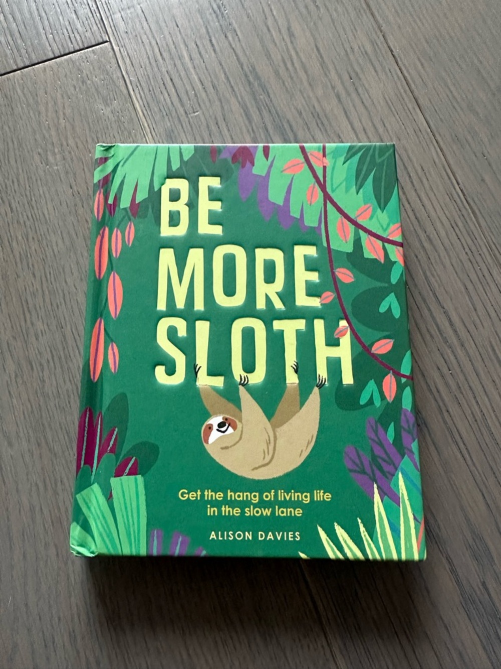 Be More Sloth by Alison Davies (Hardback book)